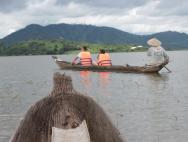Чем питаются слоны во вьетнаме